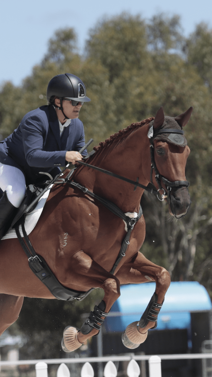 Lauren's horse Tatts loves his Micklem bridle and Trust Inno-Sense Port Mouth Eggbutt. Photo credit: Roger Foster