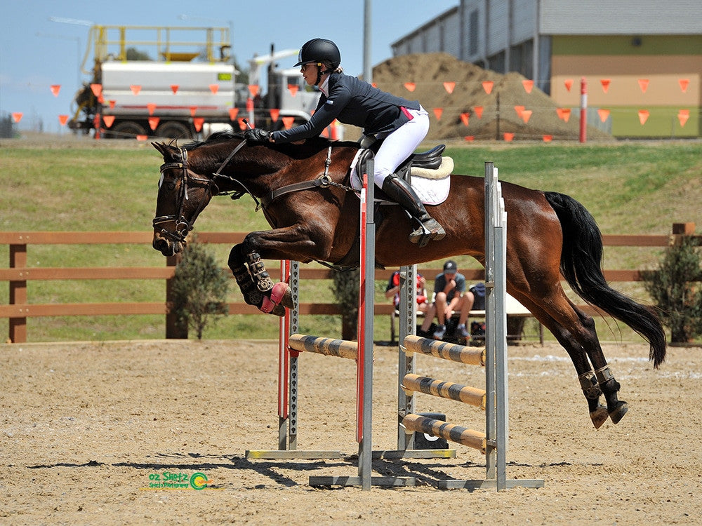 Jessica's horse in our Neue Schule Turtle Top Universal. Happy horse and happy rider!