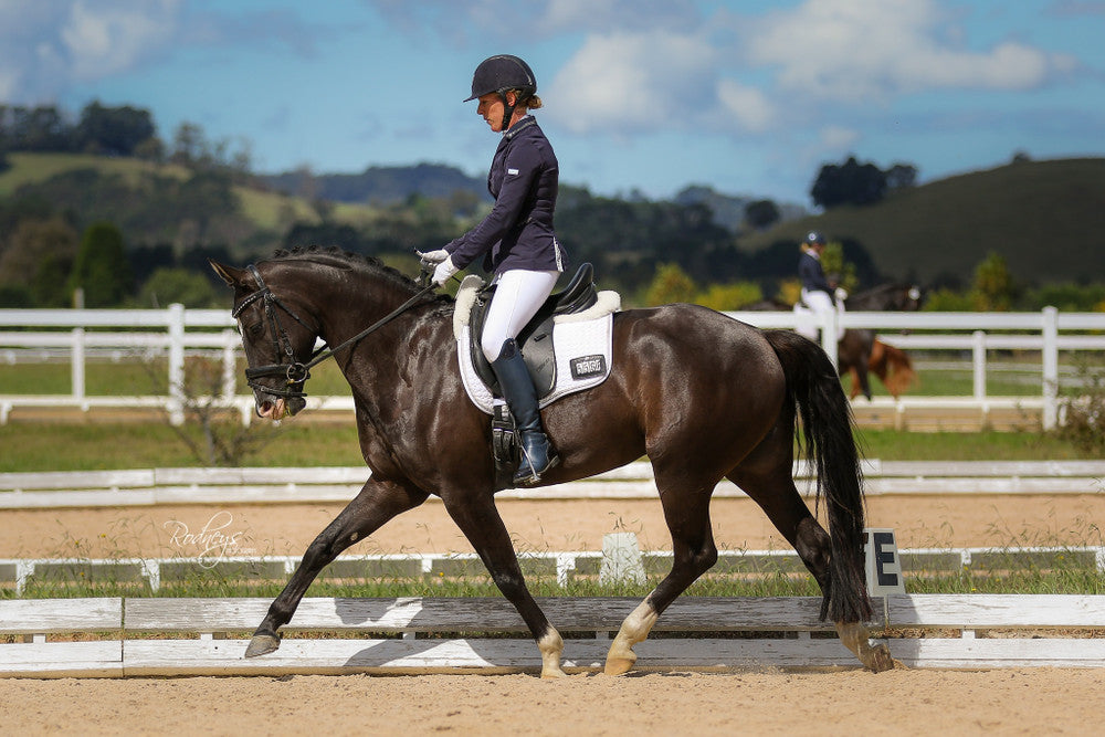 Anne's pony wearing the NS Turtle Top Snaffle. Photo Credit: Rodney's Photography