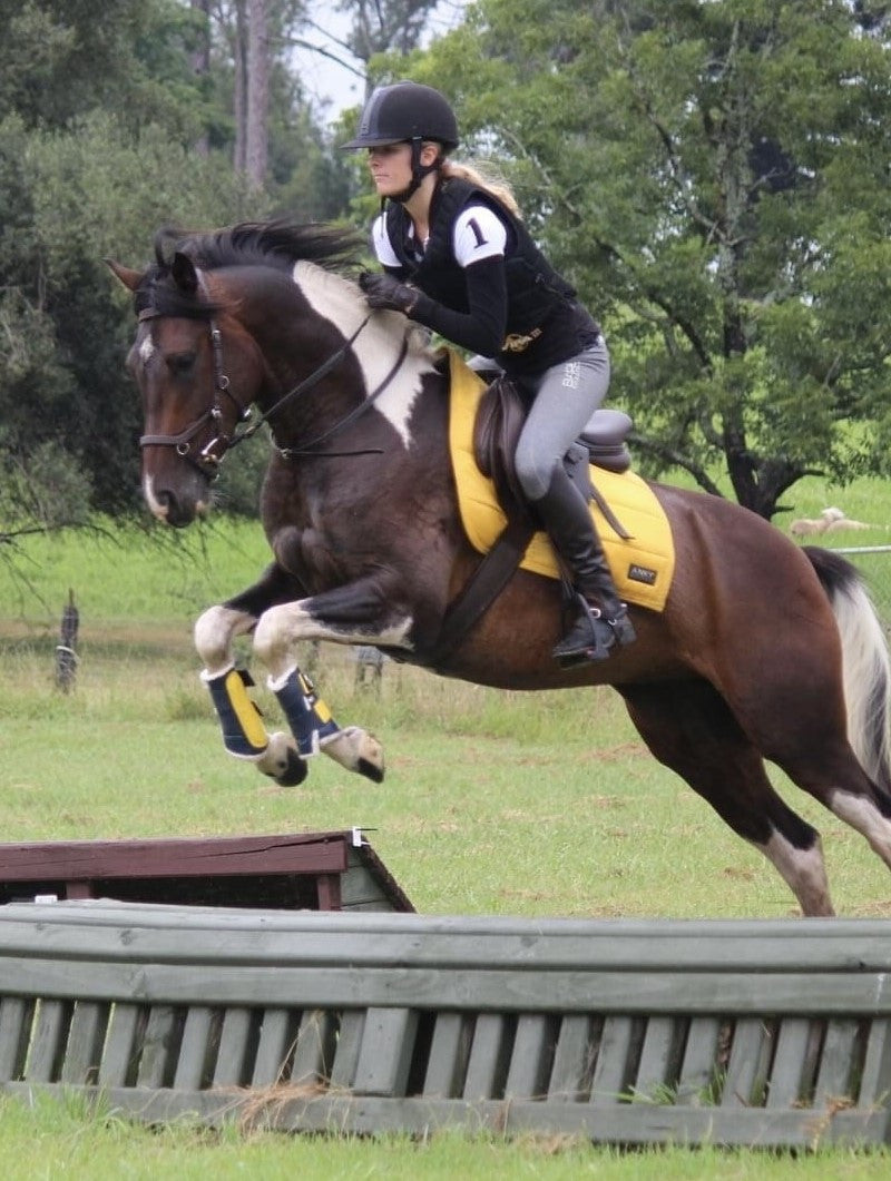 Anne's horse wears the Neue Schule Turtle Top Hunter Dee