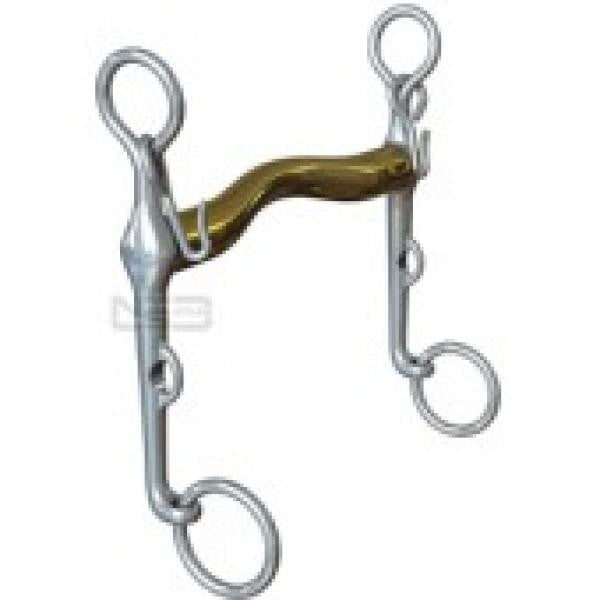 Neue Schule Aachen Weymouth