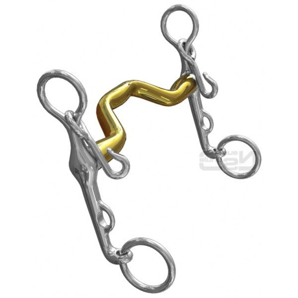 Warmblood Weymouth Neue Schule