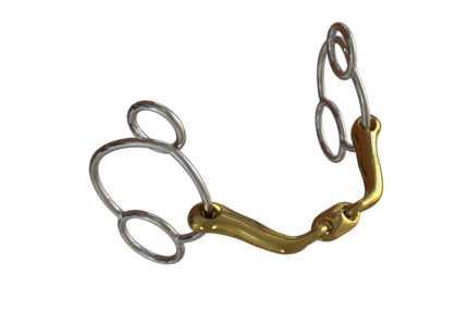 Neue Schule Verbindend Universal