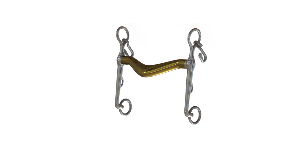 Neue Schule Turtle Tilt Weymouth