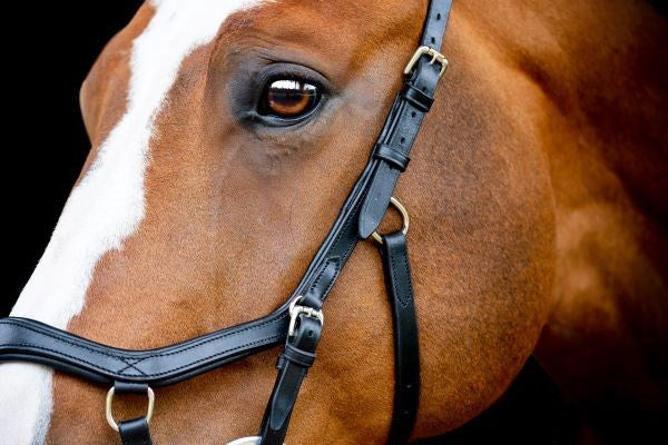 Micklem 2 Competition Bridle