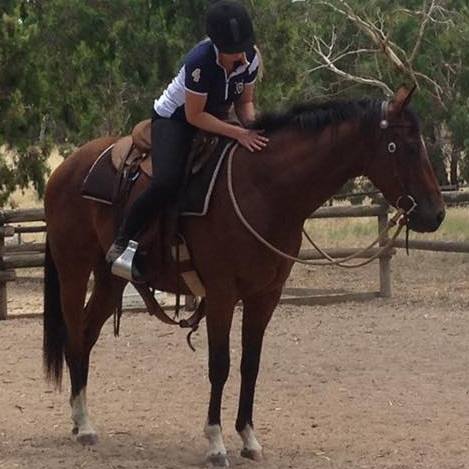 My Top 5 Bits For Starting or Breaking in Horses