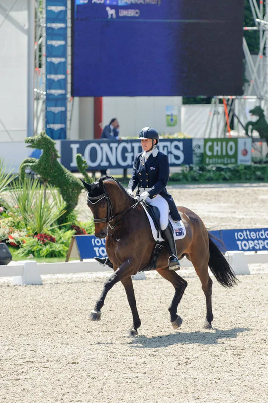 Chewing Gum for Your Horse. Yes, Really.