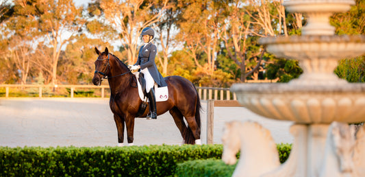 Choosing the Best Bridle for your Horse