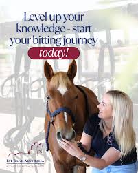 Level Up Your Equestrian Career with Bit Bank Education