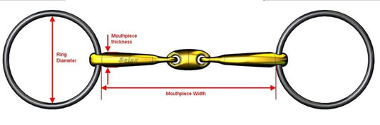 2019 FEI and EA Bitting Rule Changes Explained