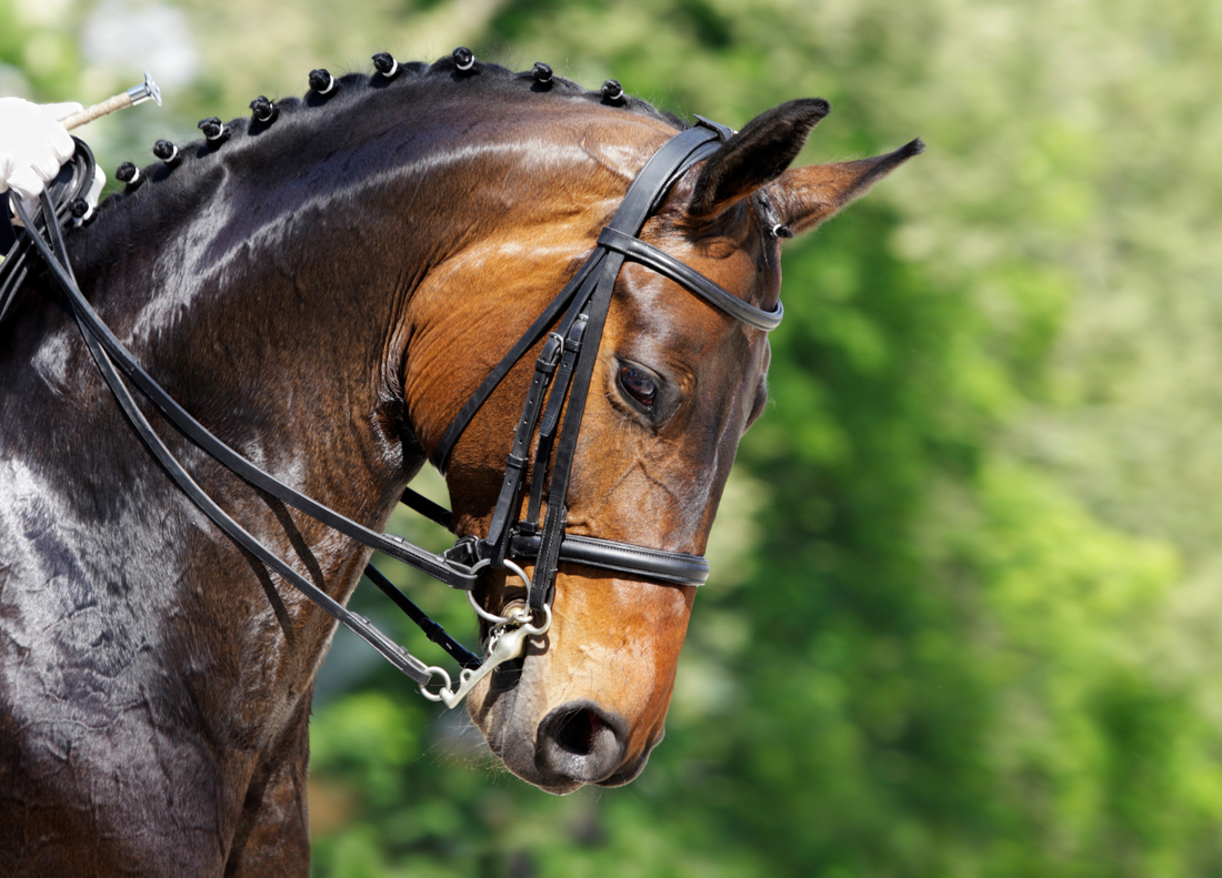 Double Trouble? Let us take the headache out of choosing a double bridle bit set!