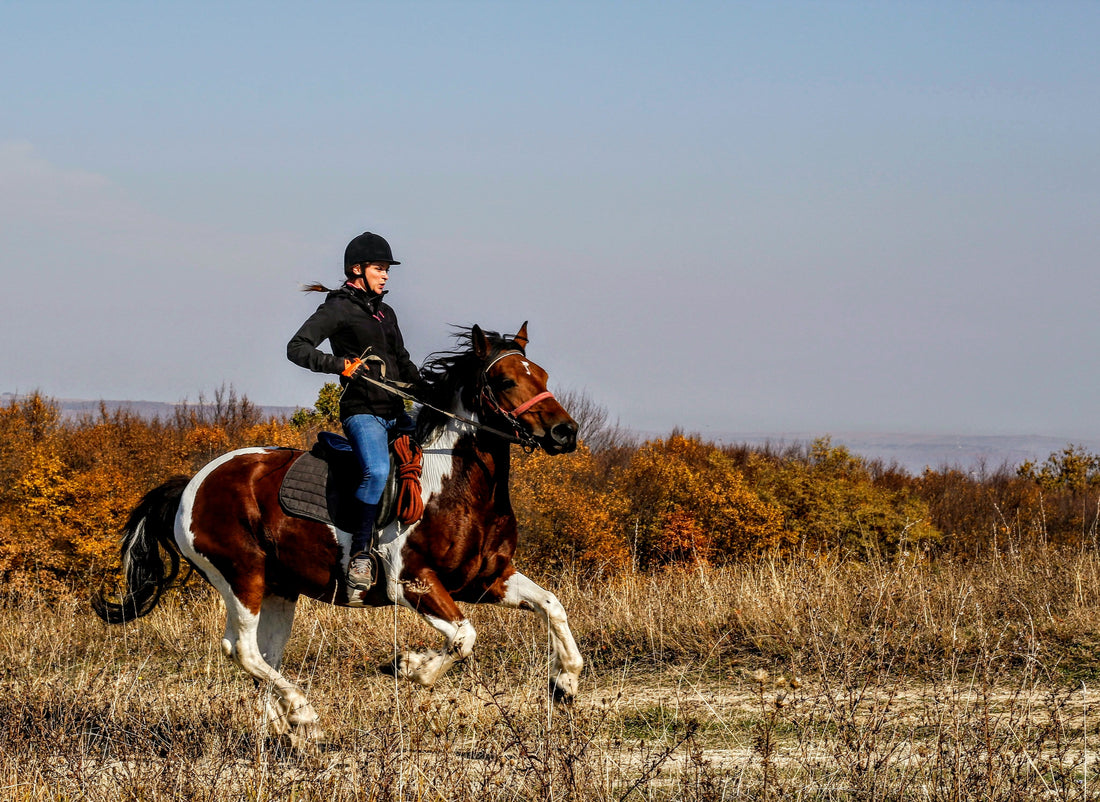 Is Your Horse Leaning On The Rein? Here's Why The Bit Should Be Your First Check
