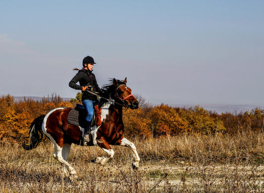 Is Your Horse Leaning On The Rein? Here's Why The Bit Should Be Your First Check