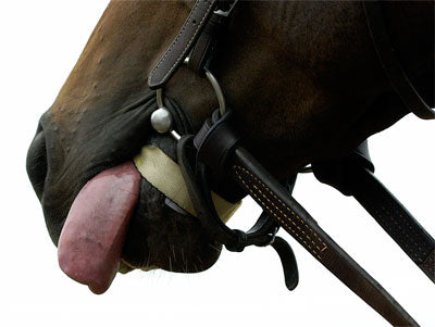A Slip of the Tongue...Identifying and Addressing Tongue Issues in Horses