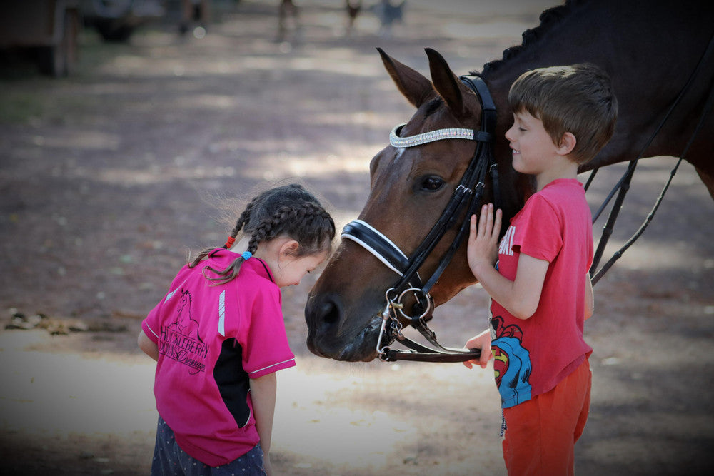 Mandy's horse wearing the Neue Schule Verbindend Bridoon 9010