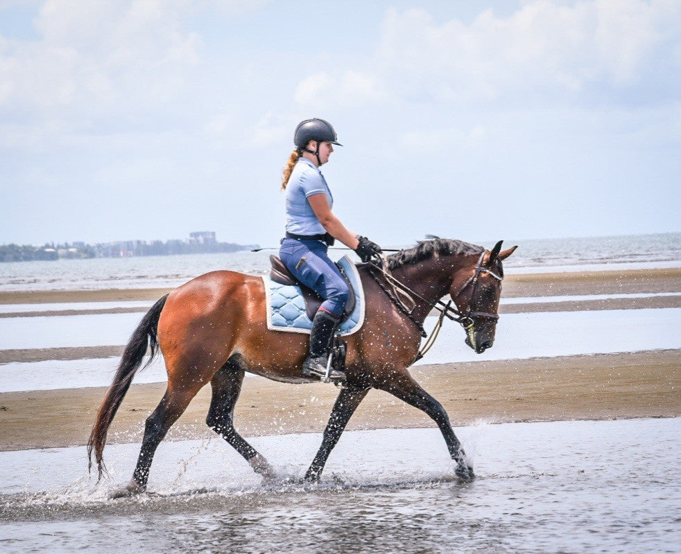 Tayla's horse in his Neue Schule Tranz Angled Eggbutt Snaffle