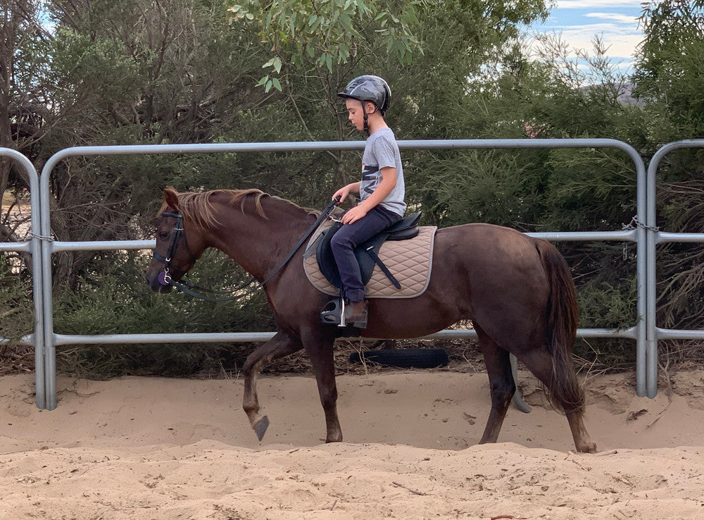 Claire's pony wearing the Neue Schule Tranz Angled Lozenge Baucher