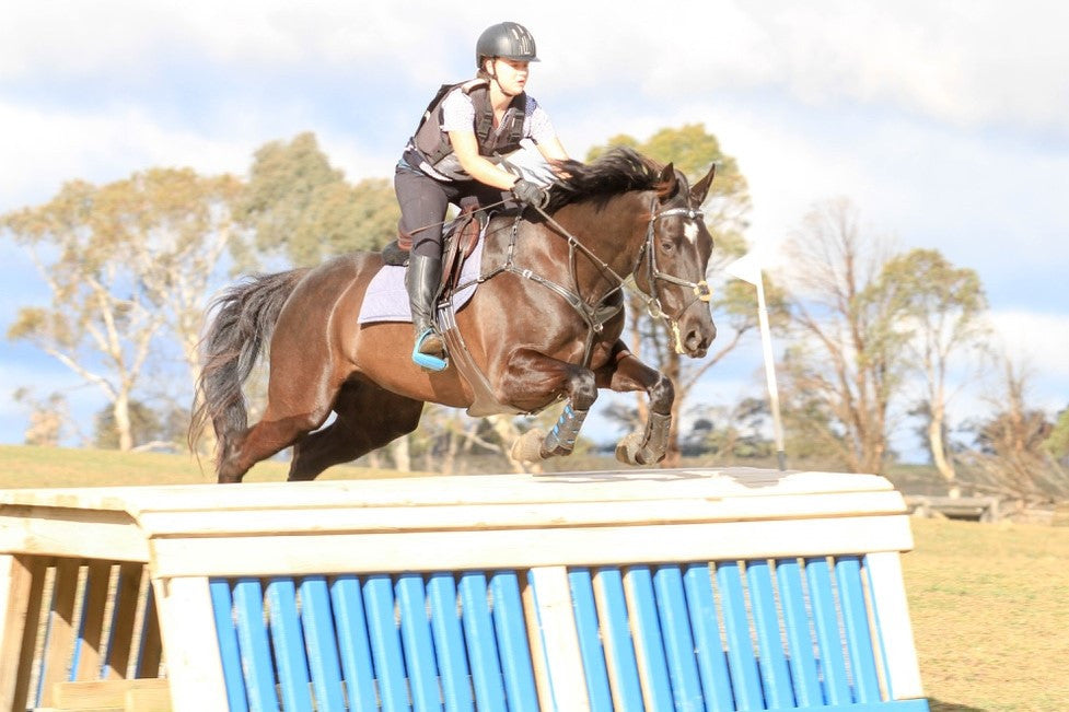 Emma's horse in his Bomber Loose Ring Happy Tongue