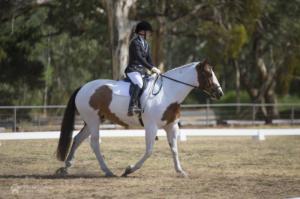 Annette's horse in their Neue Schule Verbindend