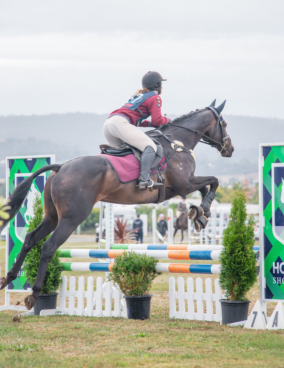 Abbey's horse jumping in the Neue Schule Full Cheek Snaffle