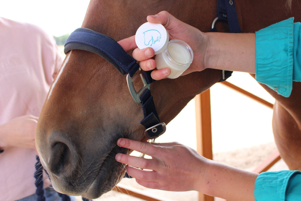 Liberte Bit Butter - Unflavoured