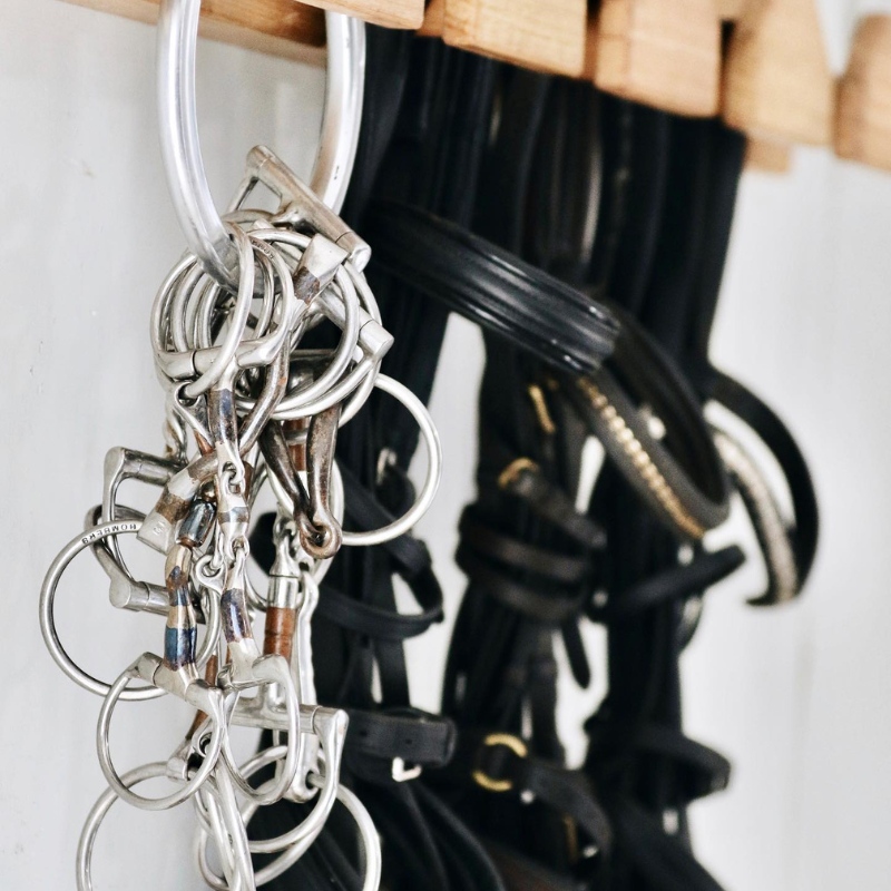 Bitting Basics - Course