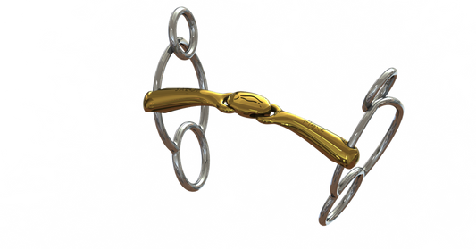 Neue Schule Turtle Top Universal