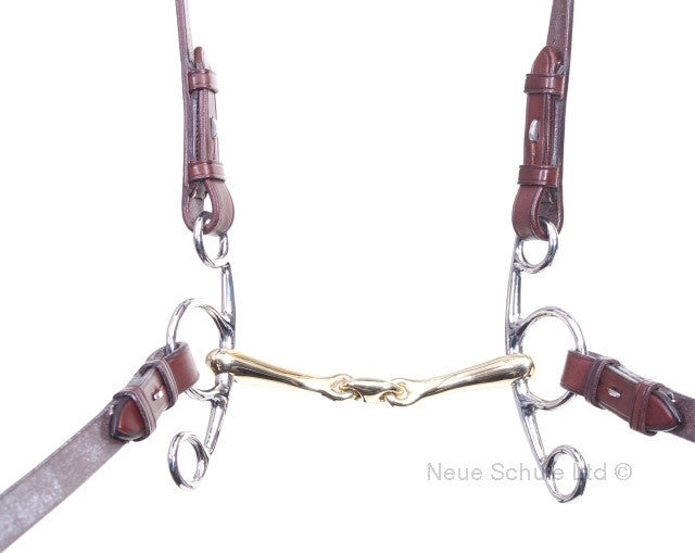 using the Elevator Bit with one rein on the Big ring- the mildest setting