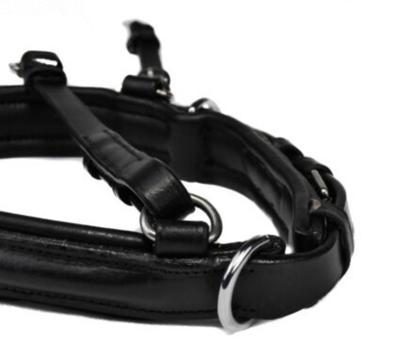 Bridle2Fit Bitless Noseband Only