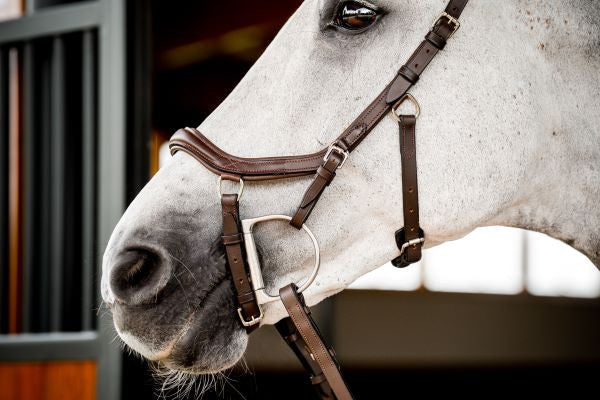 Micklem 2 Deluxe Competition Bridle